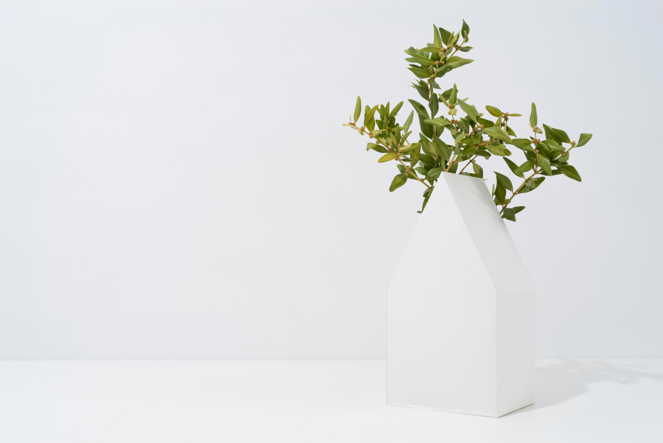 Geometric Vase with Plant on White Background